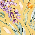 Elbise Paula Elbise resmi